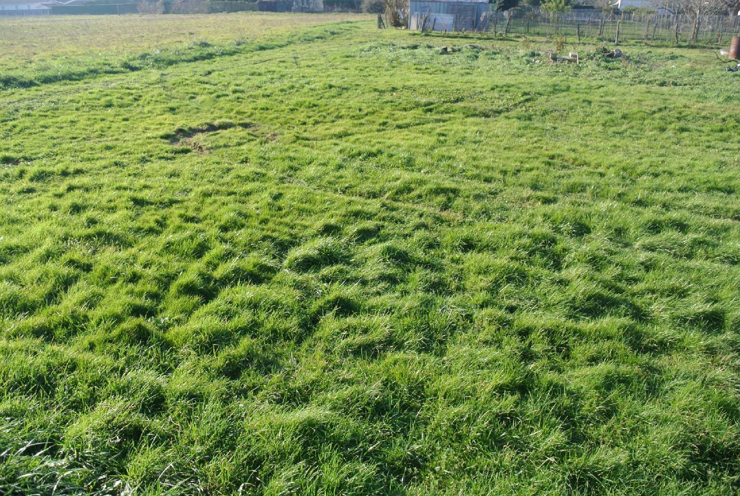  kaufen Grundstück Marmande Lot-et-Garonne 1