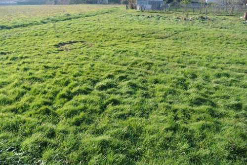 Marmande Lot-et-Garonne Grundstück Bild 7207307