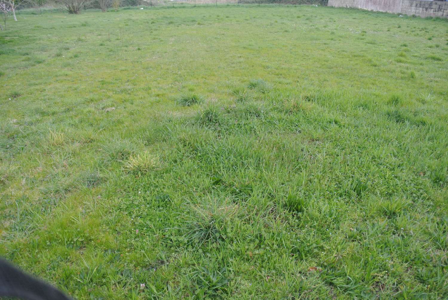  kaufen Grundstück Marmande Lot-et-Garonne 2