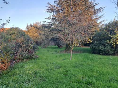 Marsillargues Hérault terrein foto 7175512