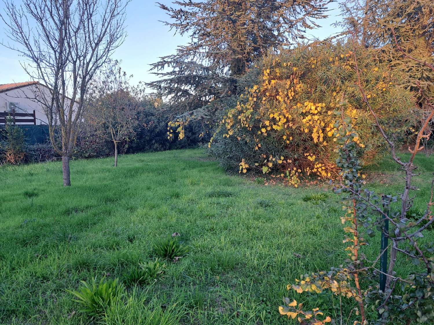 te koop terrein Marsillargues Hérault 2