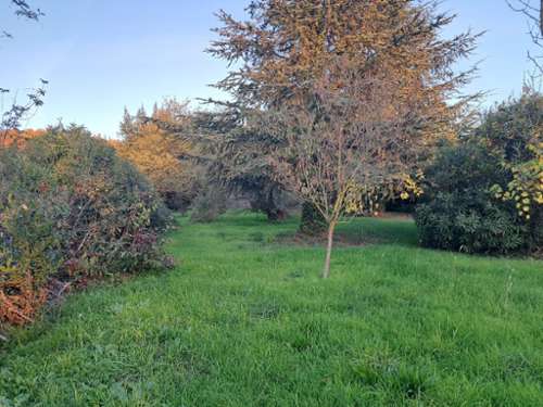 Marsillargues Hérault terreno foto 7194910