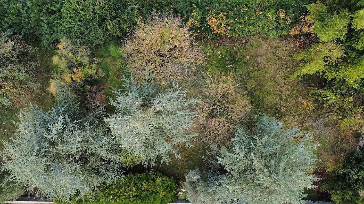  à vendre terrain Marsillargues Hérault 1