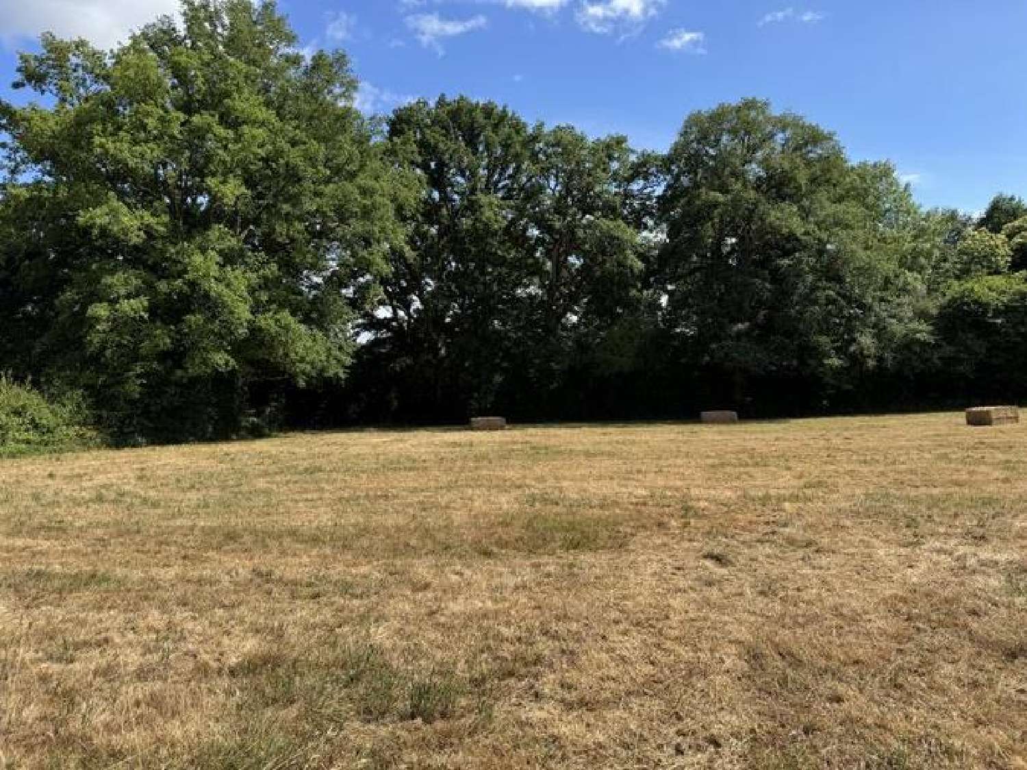 kaufen Grundstück Mésanger Loire-Atlantique 1