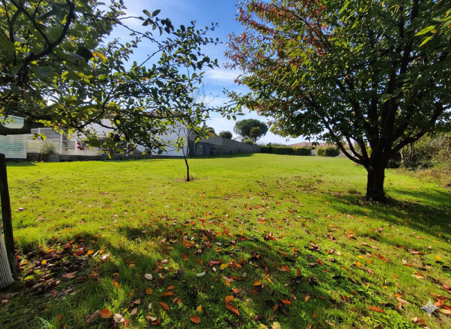  à vendre terrain Meschers-sur-Gironde Charente-Maritime 4