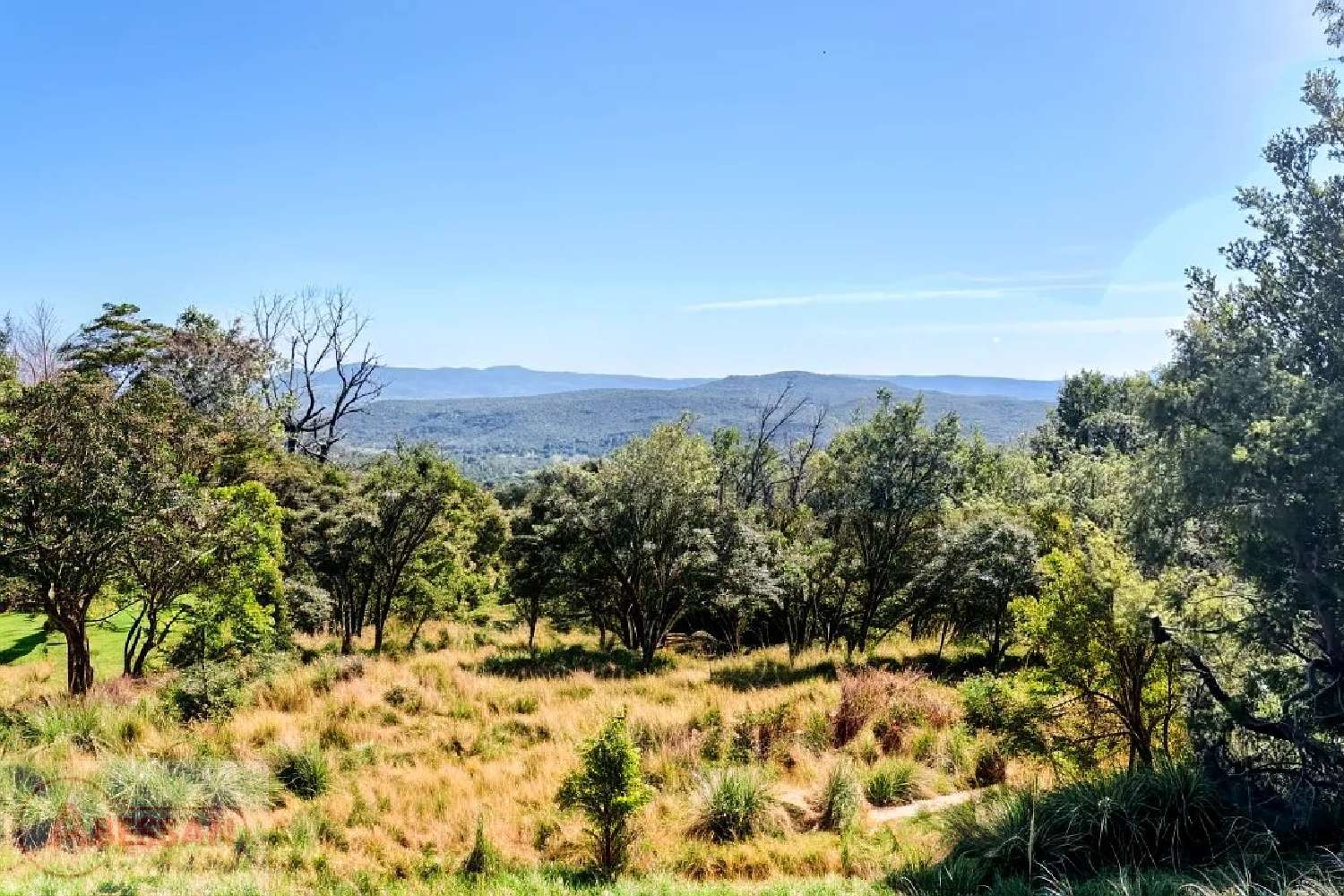  kaufen Grundstück Monoblet Gard 6