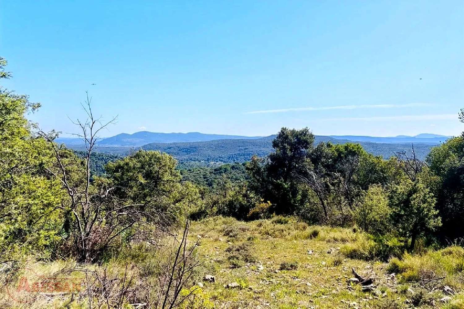  kaufen Grundstück Monoblet Gard 8