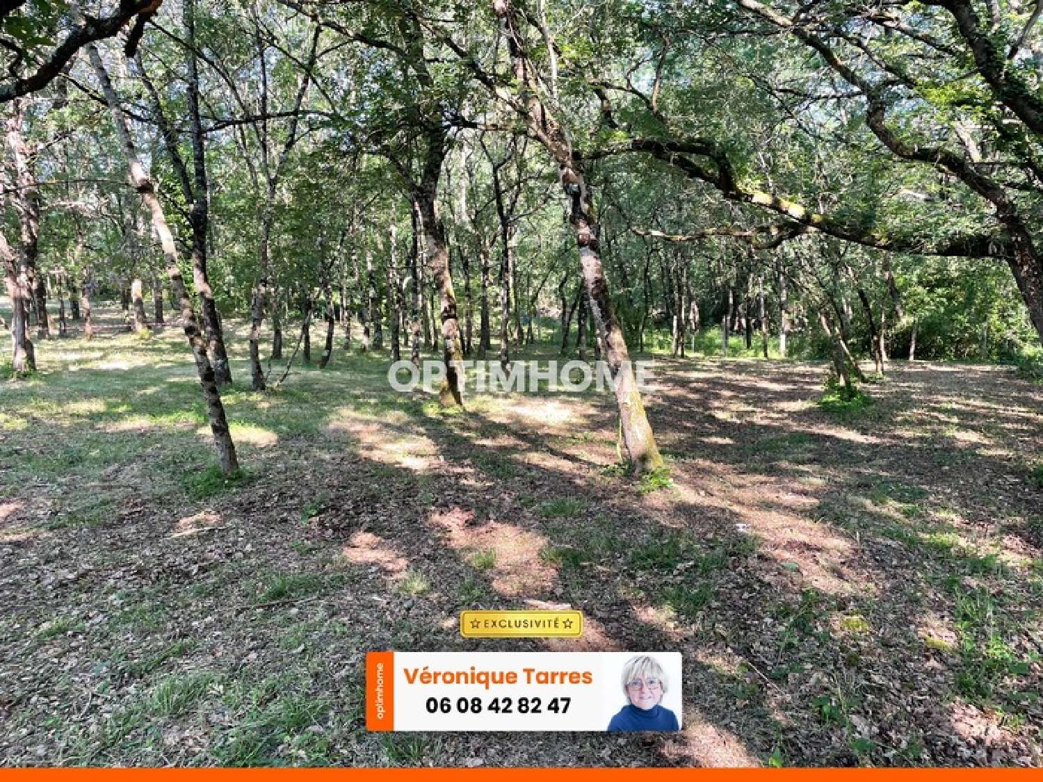  for sale terrain Montaigut-sur-Save Haute-Garonne 1