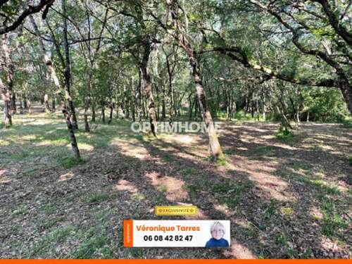 Montaigut-sur-Save Haute-Garonne terrain foto 7171763