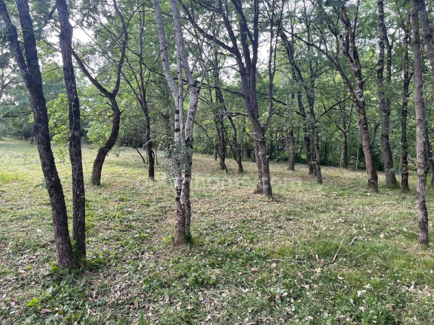  for sale terrain Montaigut-sur-Save Haute-Garonne 2