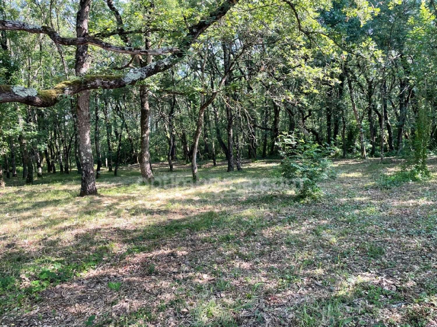  for sale terrain Montaigut-sur-Save Haute-Garonne 4