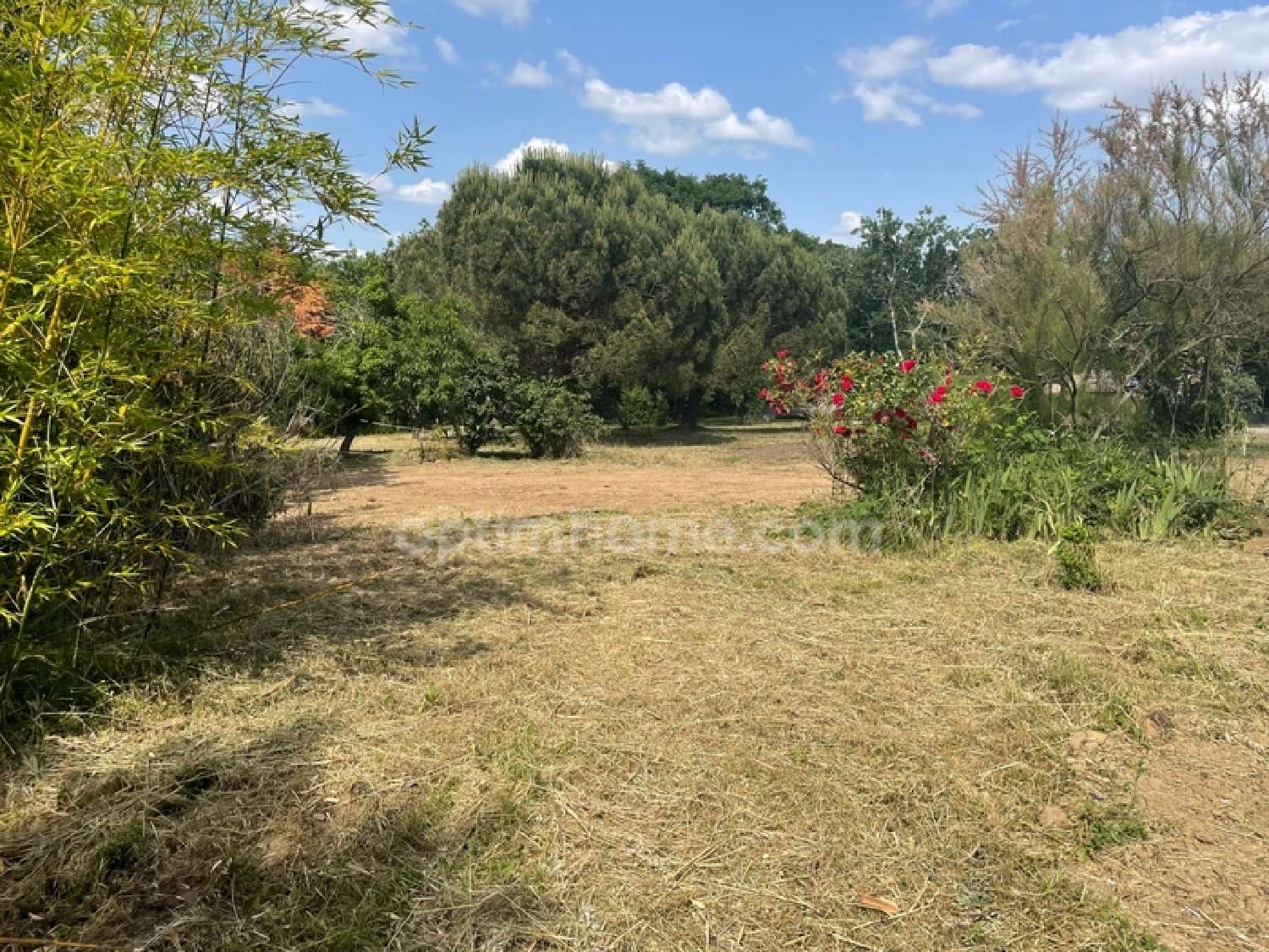 te koop terrein Montaigut-sur-Save Haute-Garonne 4