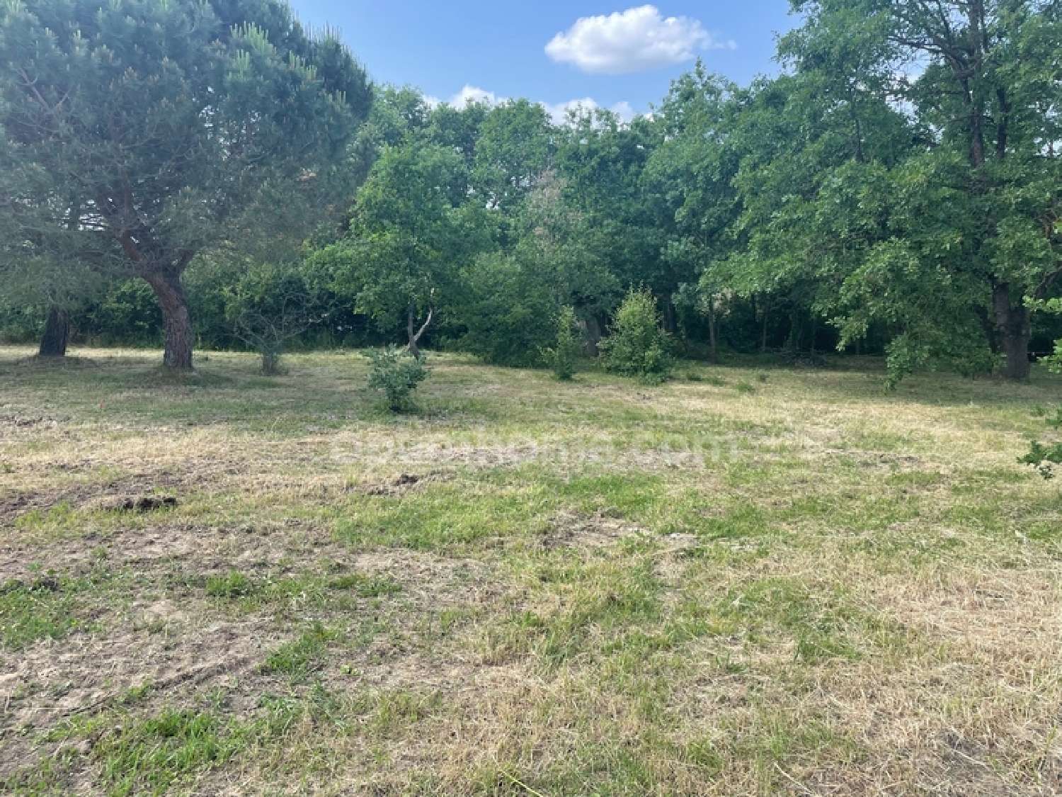 te koop terrein Montaigut-sur-Save Haute-Garonne 6