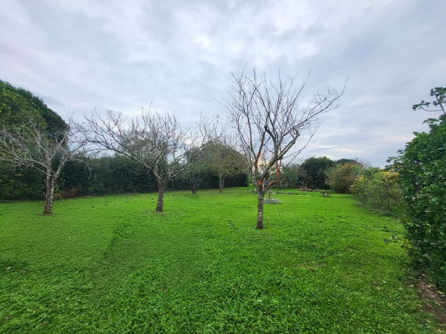  for sale terrain Montaigut-sur-Save Haute-Garonne 3