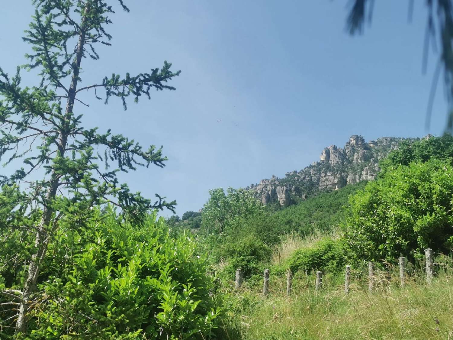 te koop terrein Mostuéjouls Aveyron 2