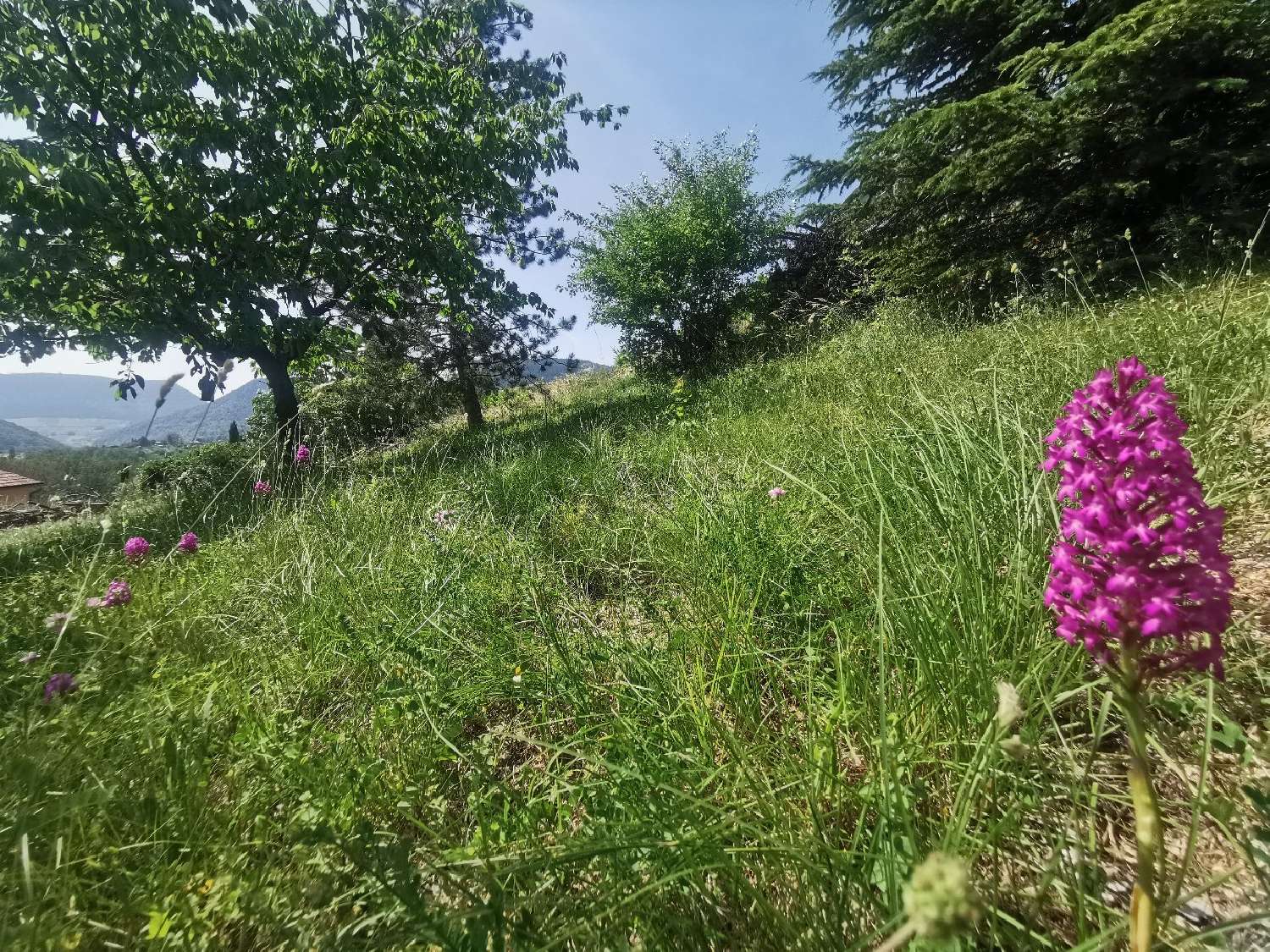 te koop terrein Mostuéjouls Aveyron 3