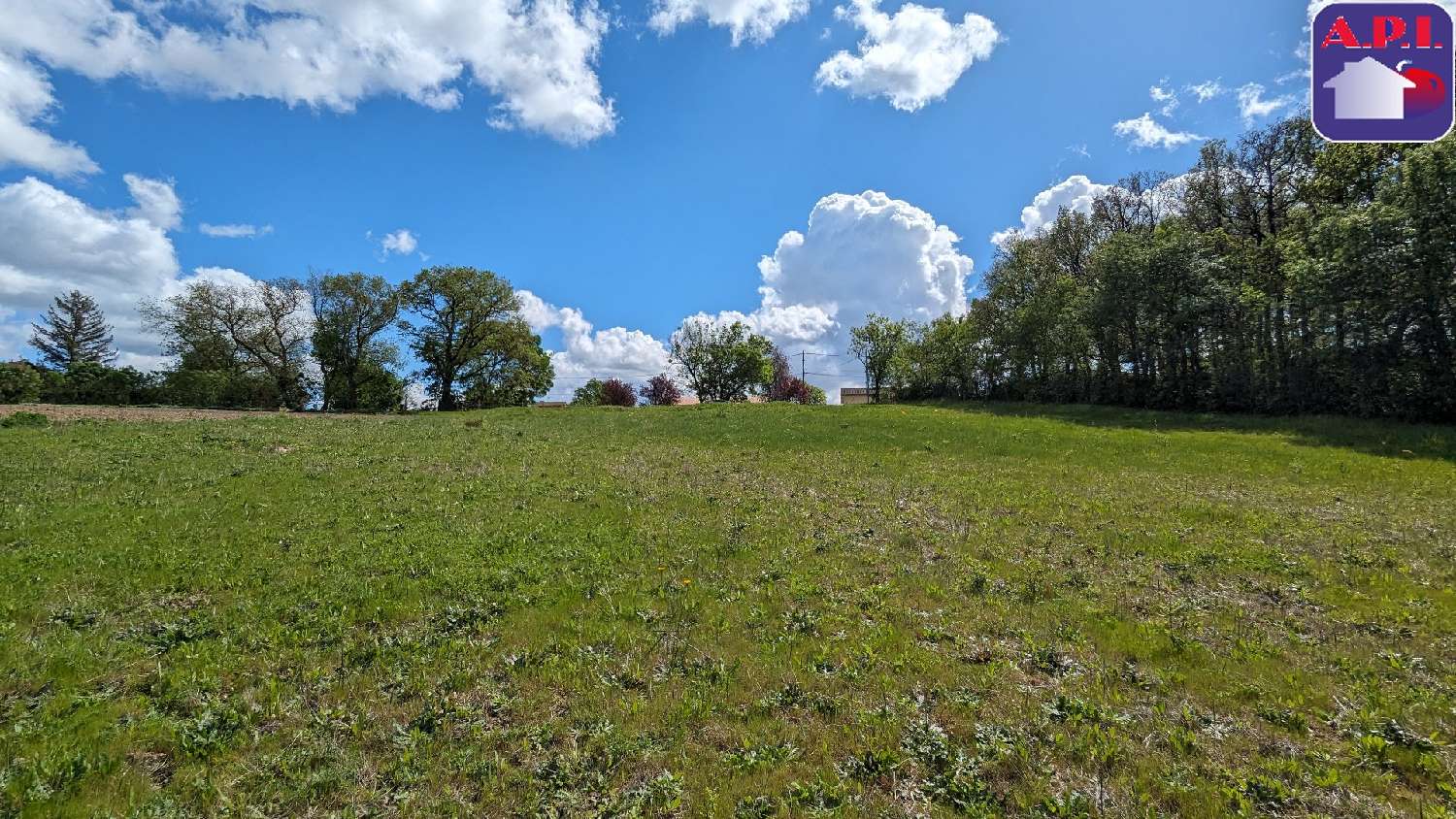  à vendre terrain Nailloux Haute-Garonne 2