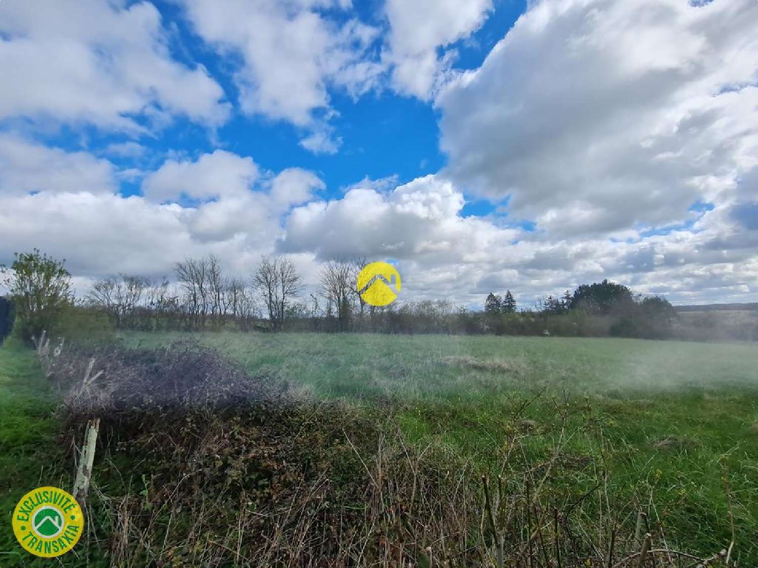  for sale terrain Nérondes Cher 4