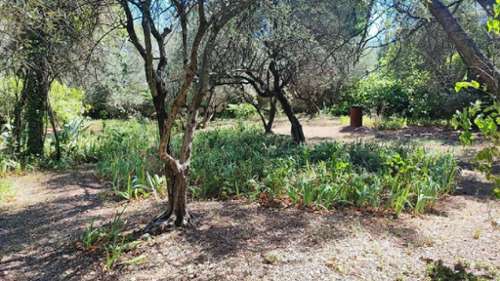 Nîmes Gard Grundstück Bild 7210620