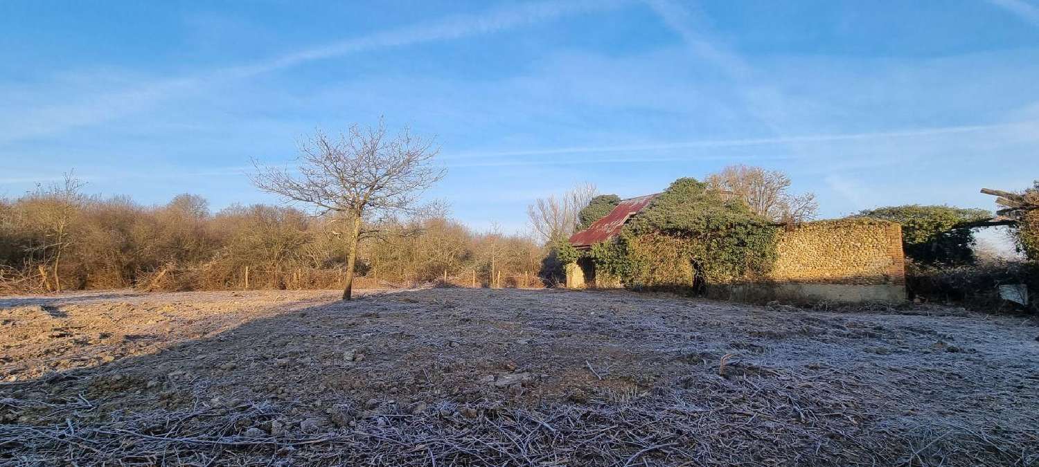  kaufen Grundstück Nouan-le-Fuzelier Loir-et-Cher 1