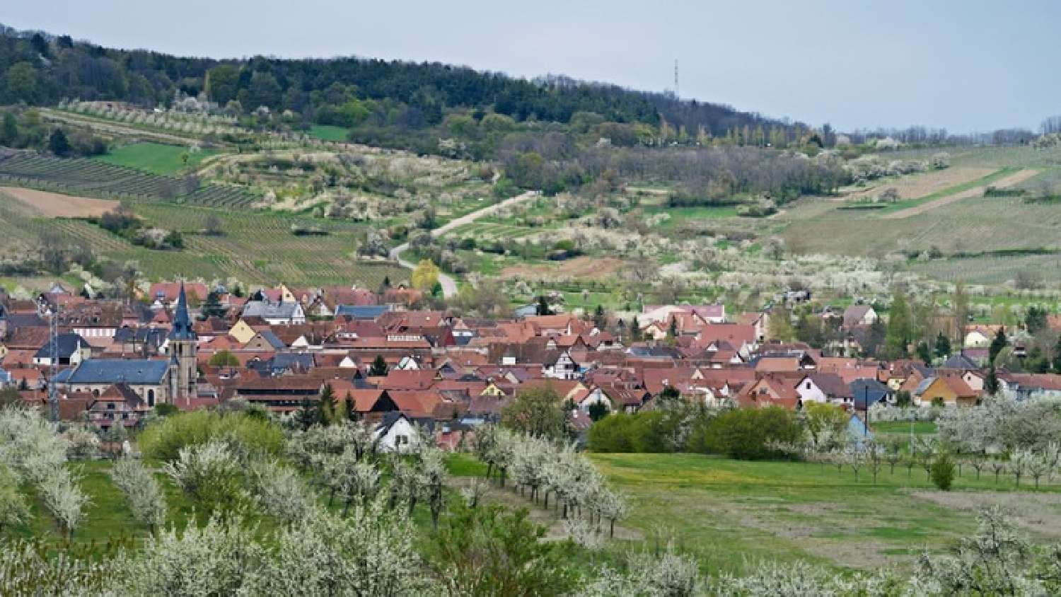  kaufen Grundstück Odratzheim Bas-Rhin 3