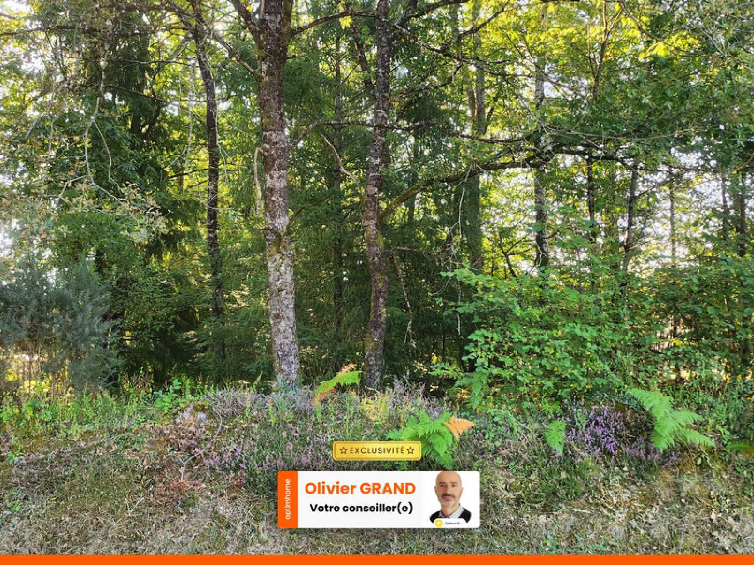  à vendre terrain Oradour-sur-Glane Haute-Vienne 1