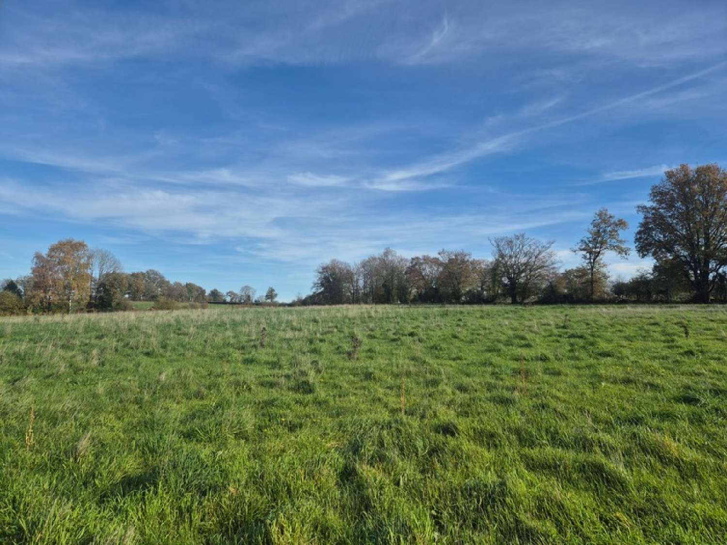 te koop terrein Orsennes Indre 1