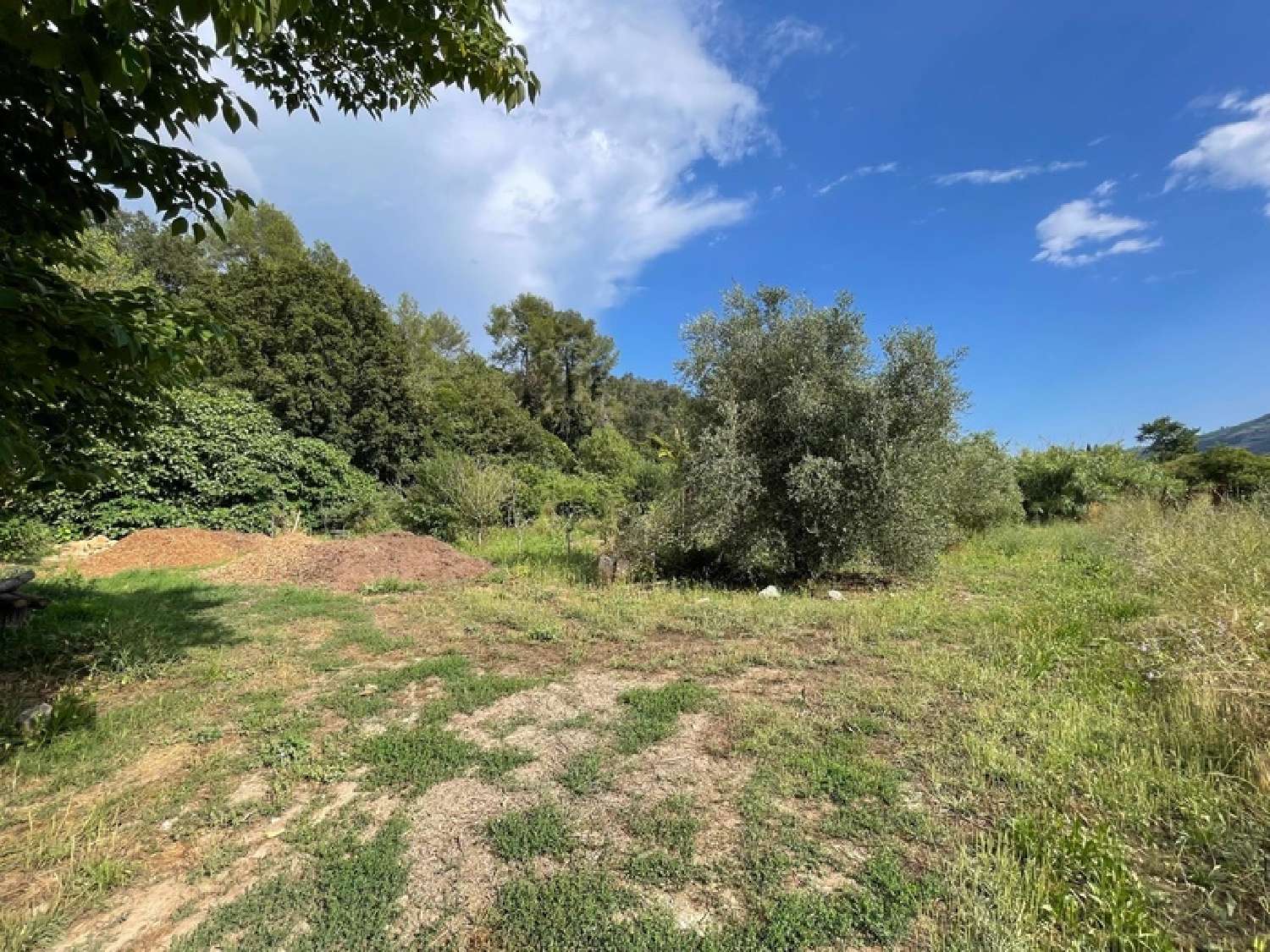  en venta terreno Pégomas Alpes-Maritimes 1