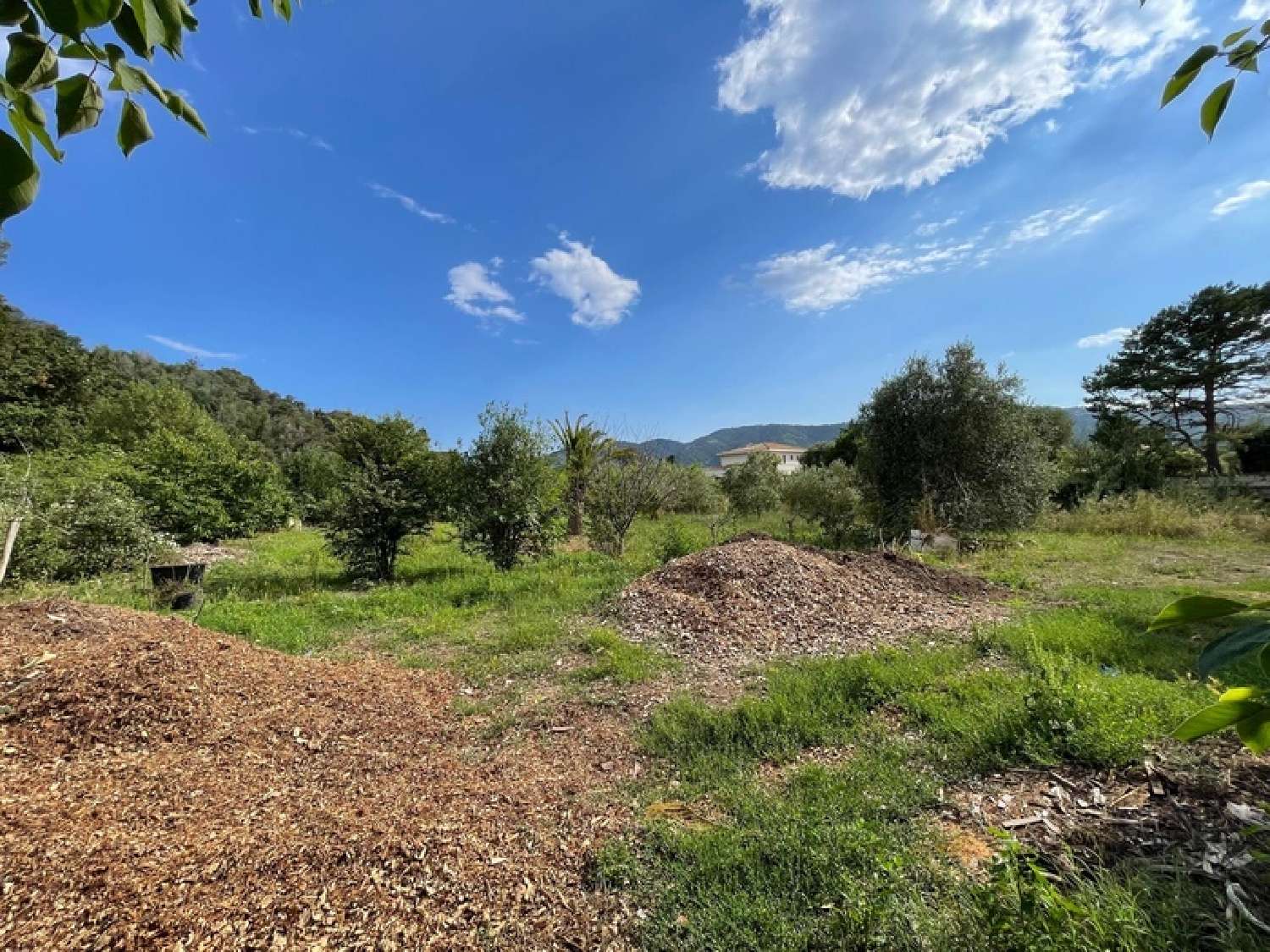  en venta terreno Pégomas Alpes-Maritimes 3