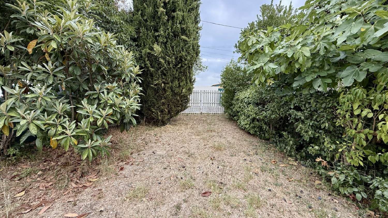  à vendre terrain Pézenas Hérault 2