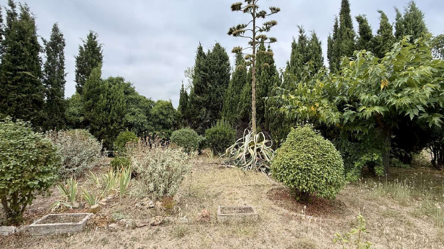  à vendre terrain Pézenas Hérault 3