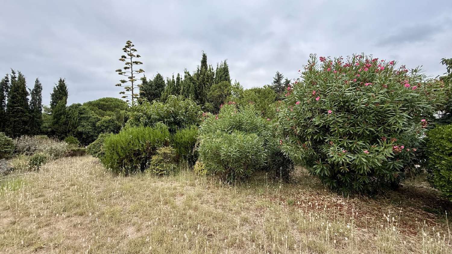 te koop terrein Pézenas Hérault 1