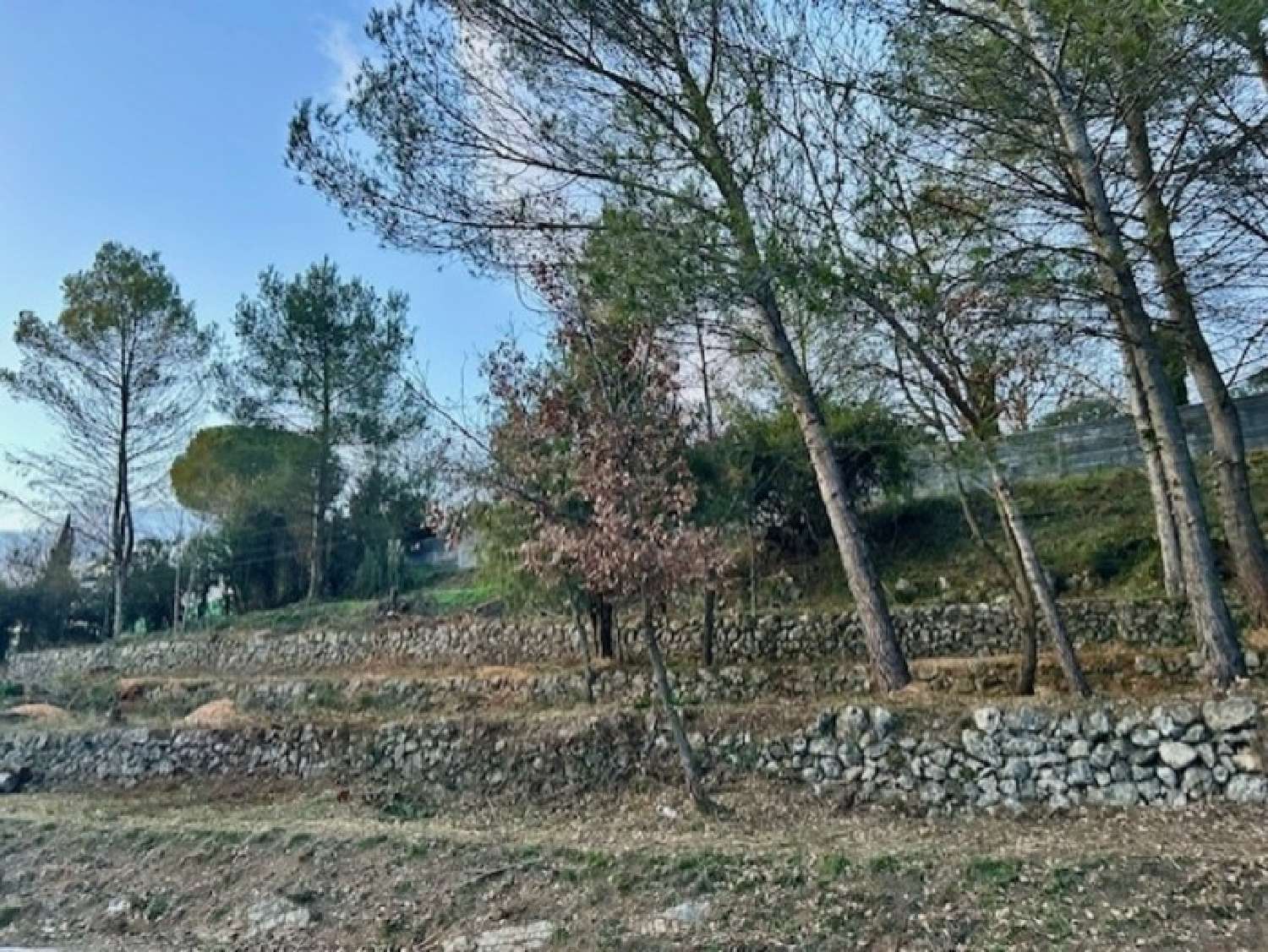 for sale terrain Plascassier Alpes-Maritimes 4