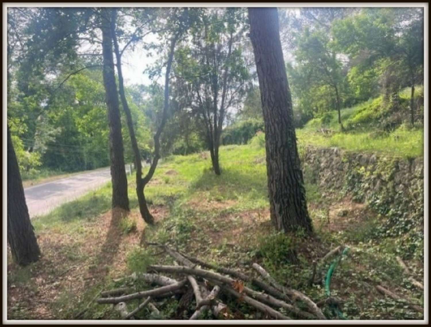 for sale terrain Plascassier Alpes-Maritimes 6