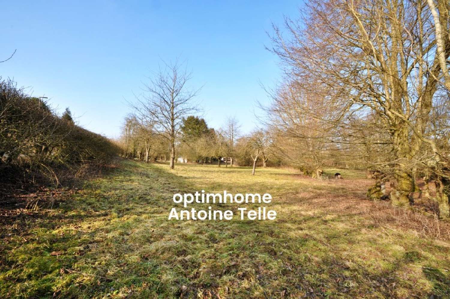 te koop terrein Pommereuil Nord 3