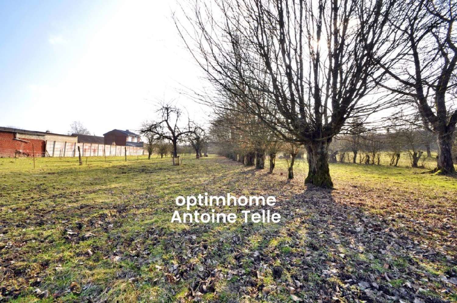 te koop terrein Pommereuil Nord 4