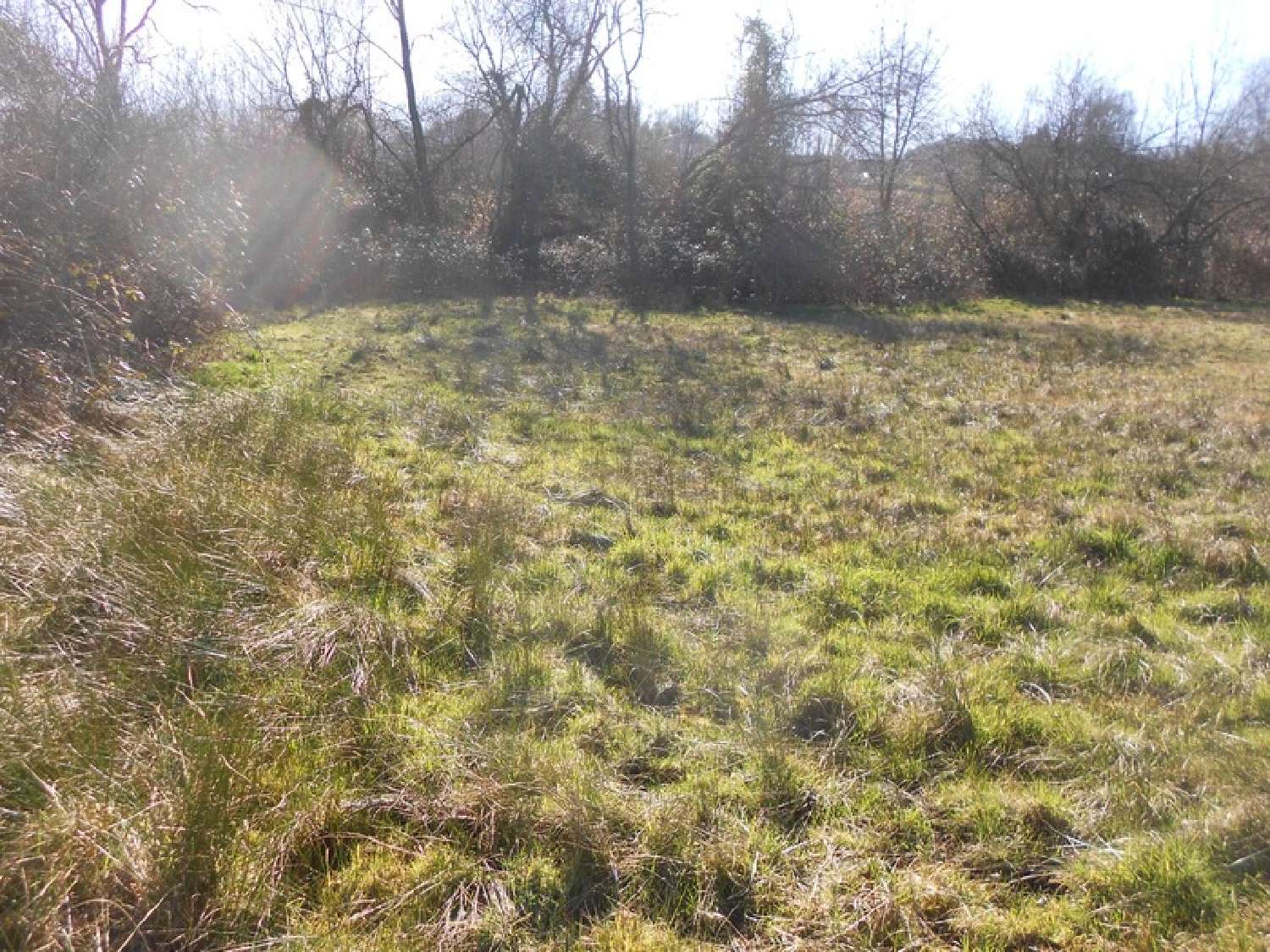  for sale terrain Poueyferré Hautes-Pyrénées 1