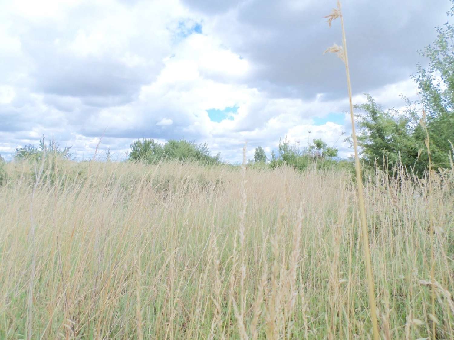  à vendre terrain Puyravault Vendée 1