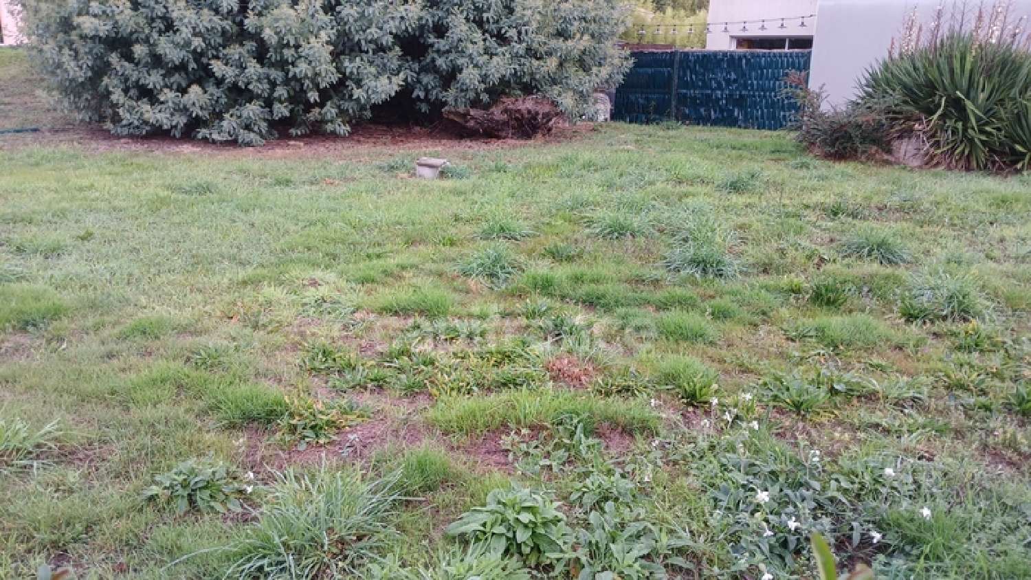 te koop terrein Rezé Loire-Atlantique 1