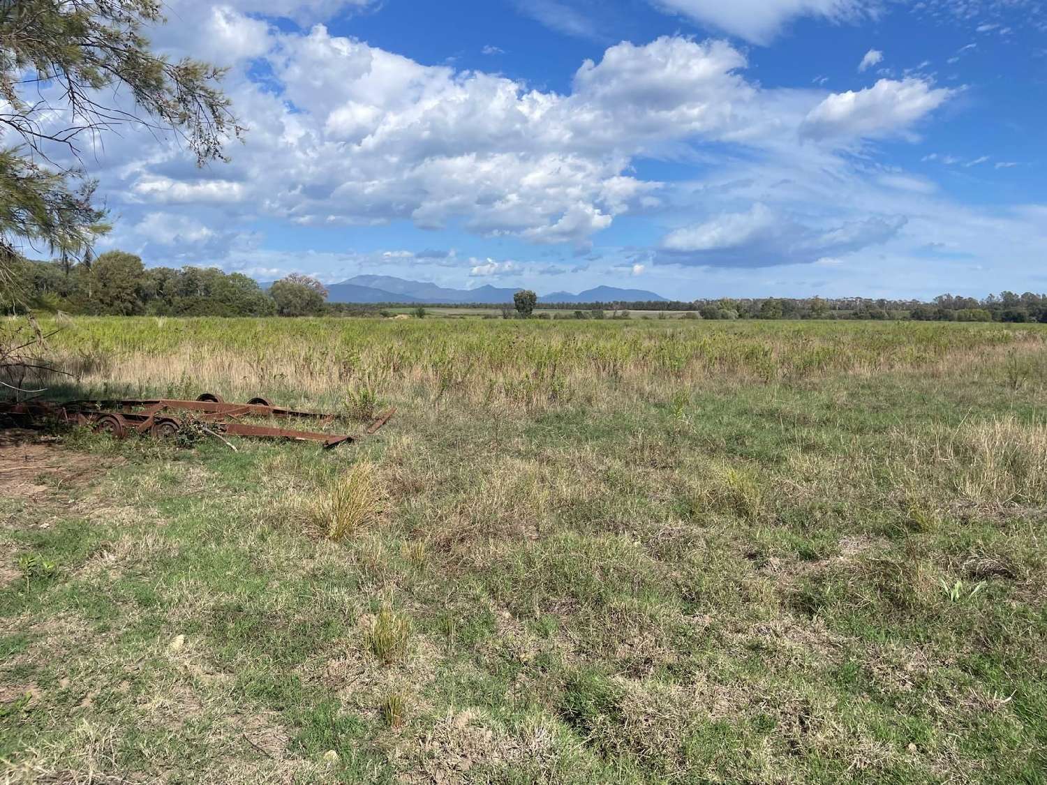  for sale terrain Riventosa Haute-Corse 1