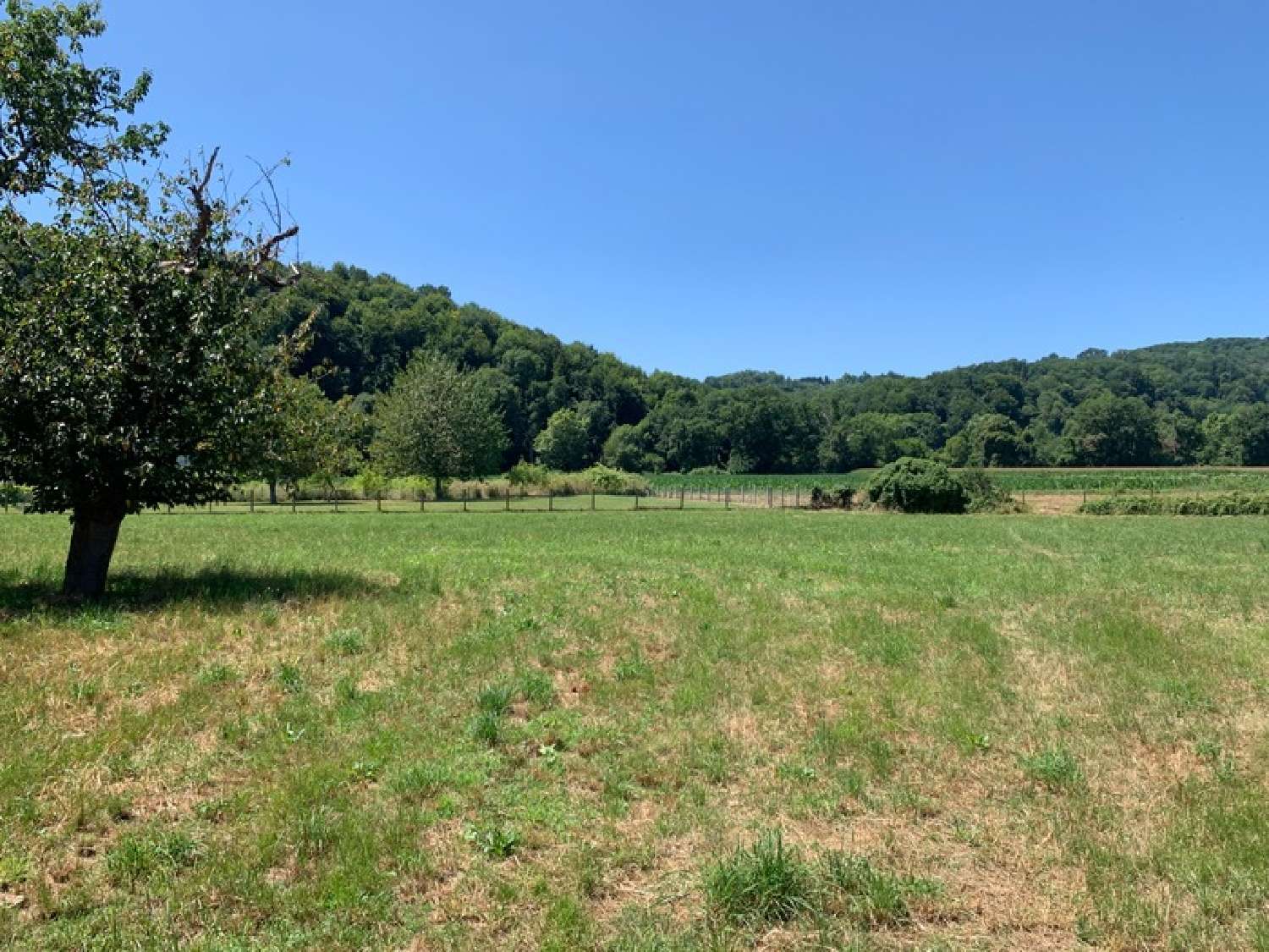  te koop terrein Rontignon Pyrénées-Atlantiques 5