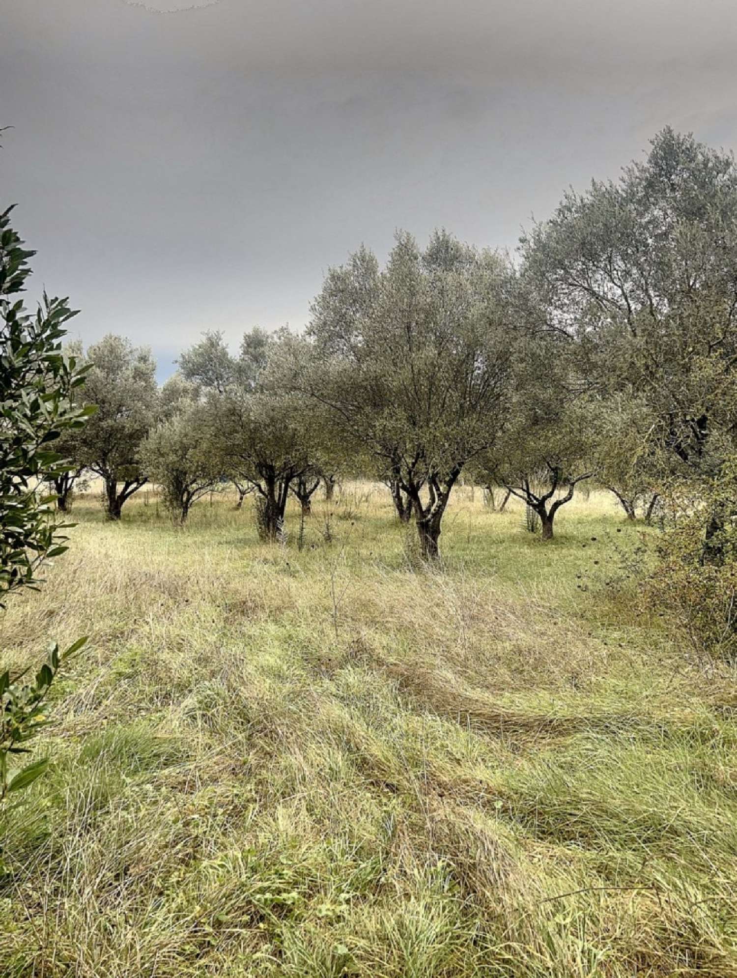  for sale terrain Rousson Gard 1