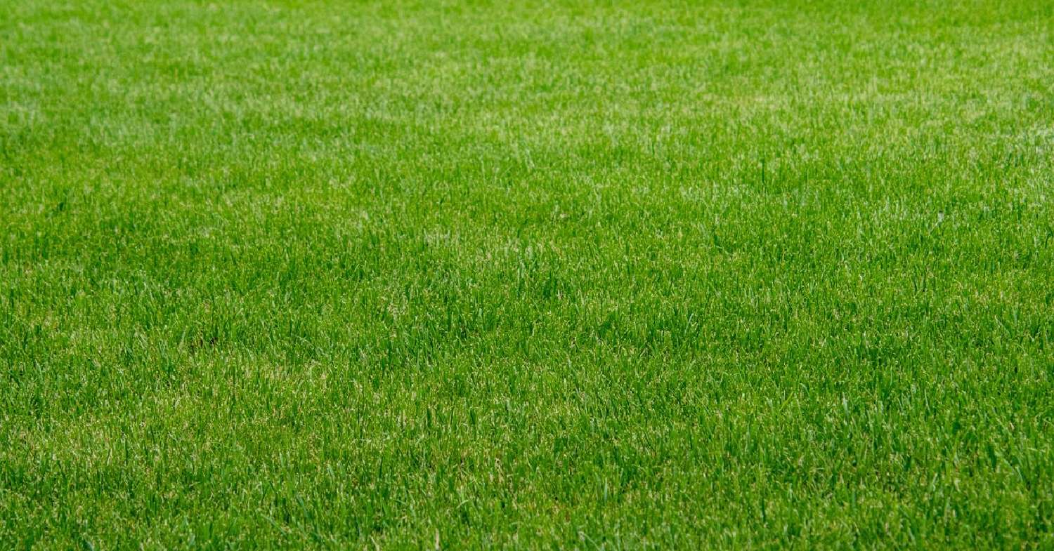  à vendre terrain Rouvres Calvados 1