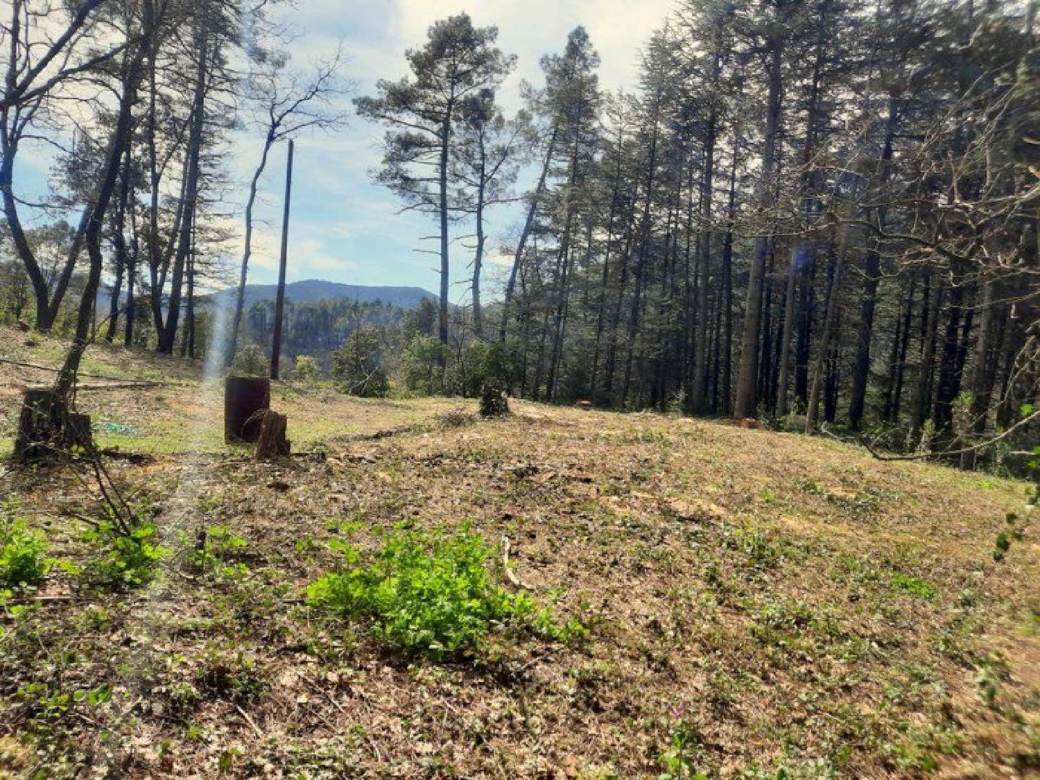  kaufen Grundstück Saint-Ambroix Gard 3