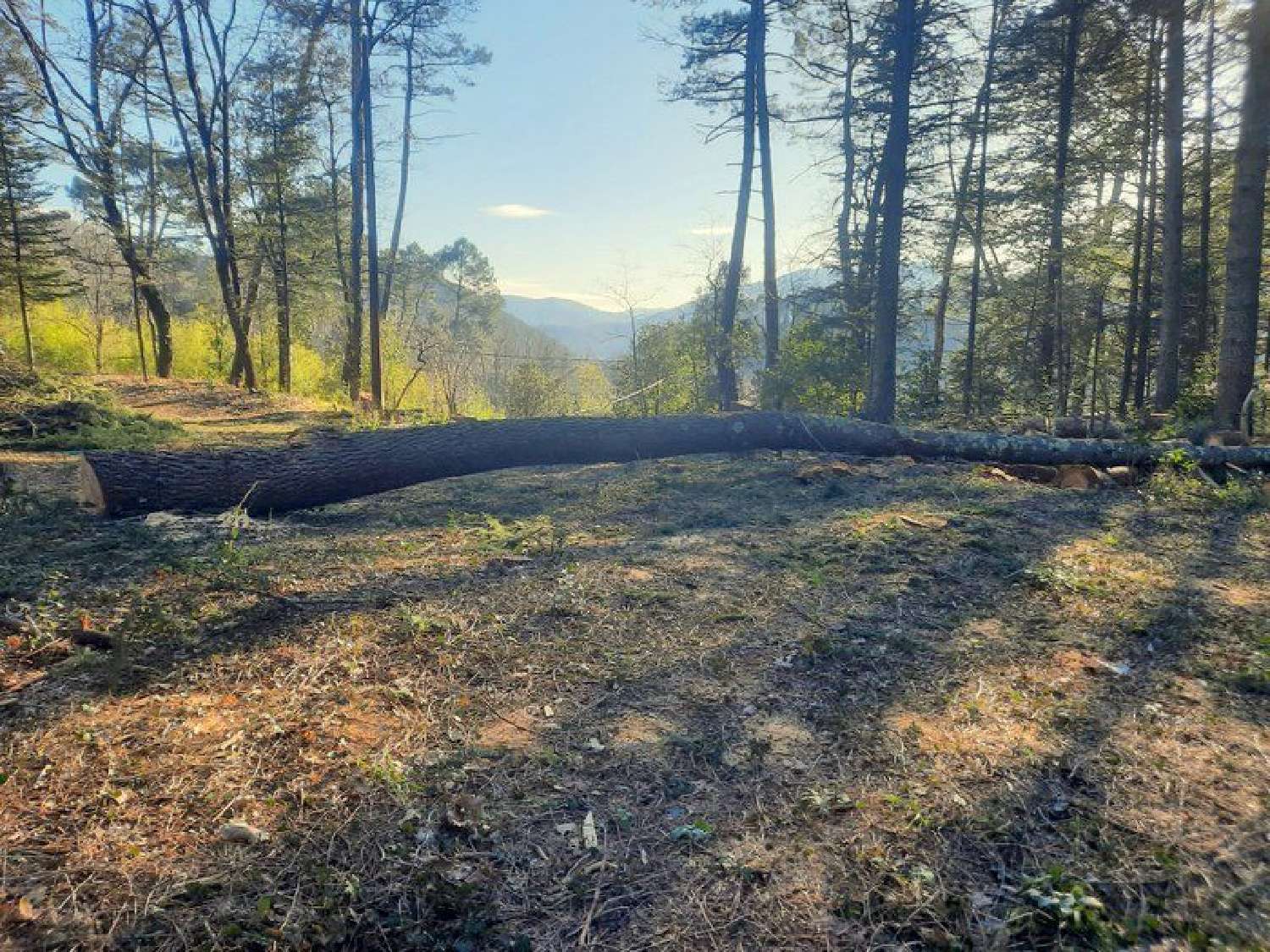  kaufen Grundstück Saint-Ambroix Gard 4