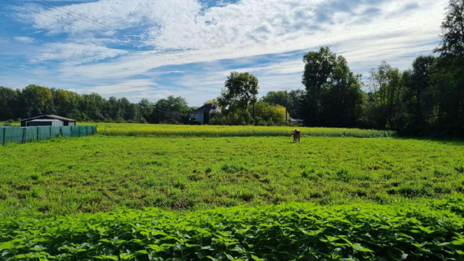 en venta terreno Saint-Aulaire Corrèze 3
