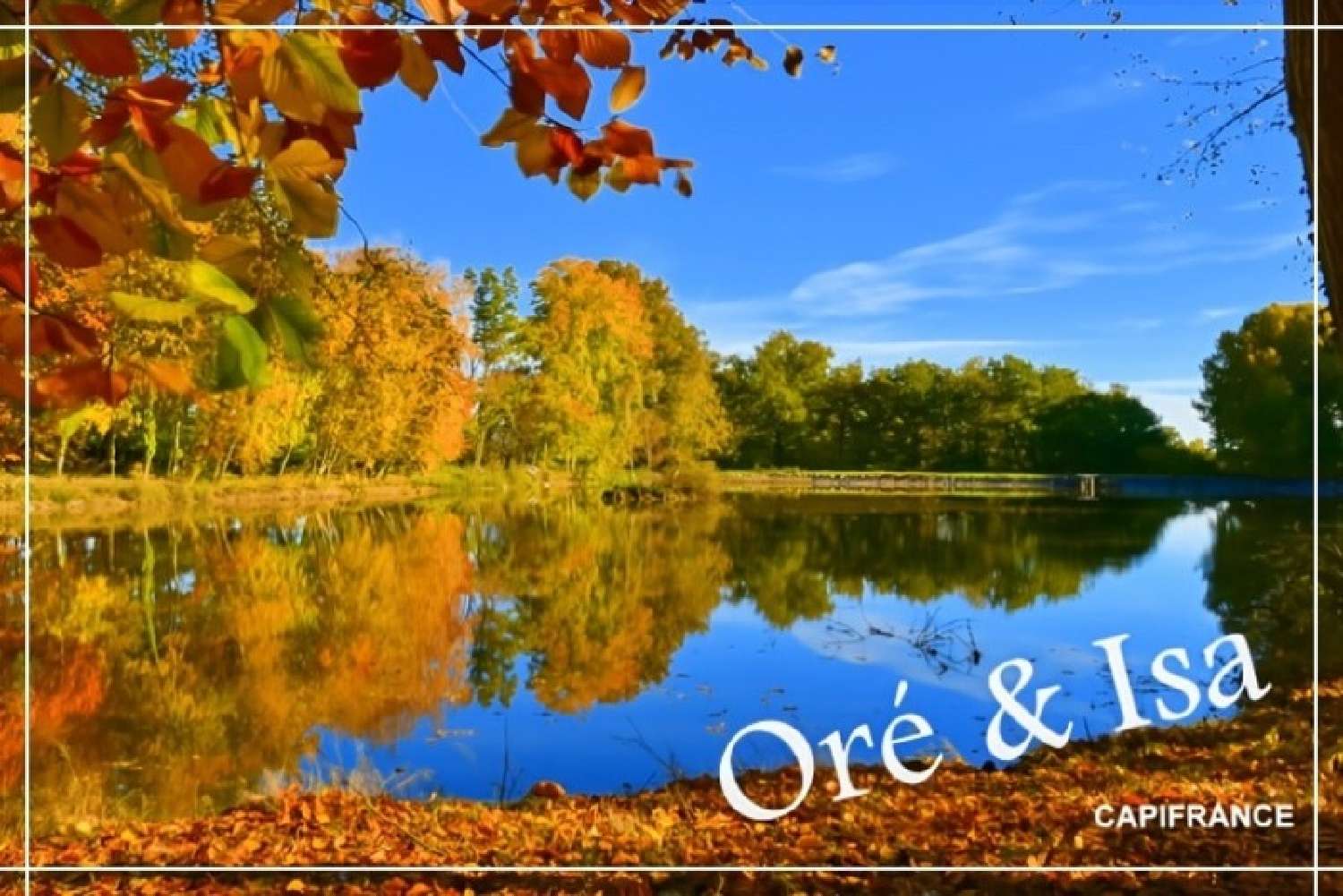  for sale terrain Saint-Désiré Allier 2