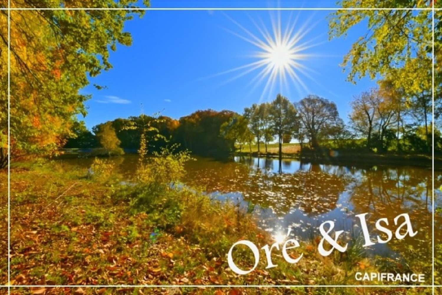  for sale terrain Saint-Désiré Allier 3