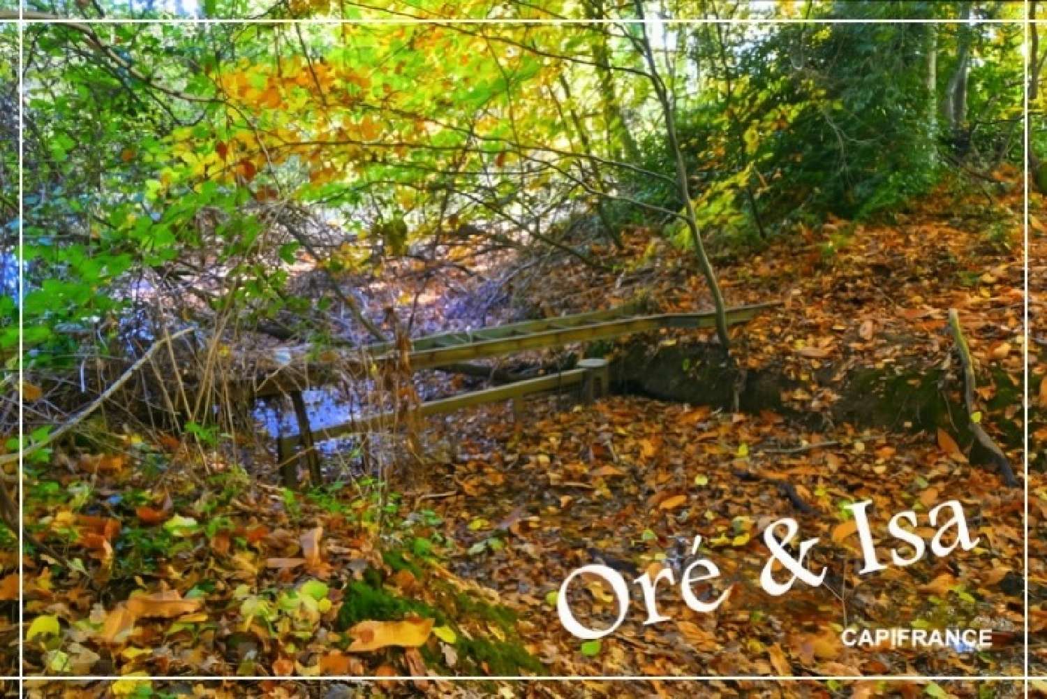  for sale terrain Saint-Désiré Allier 4