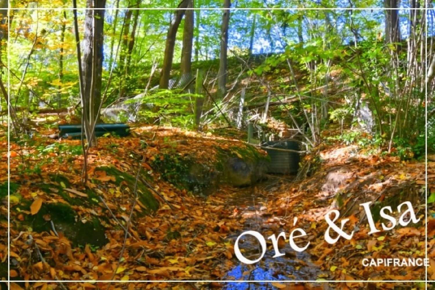  for sale terrain Saint-Désiré Allier 5